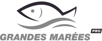 Grandes Marees - Wayez